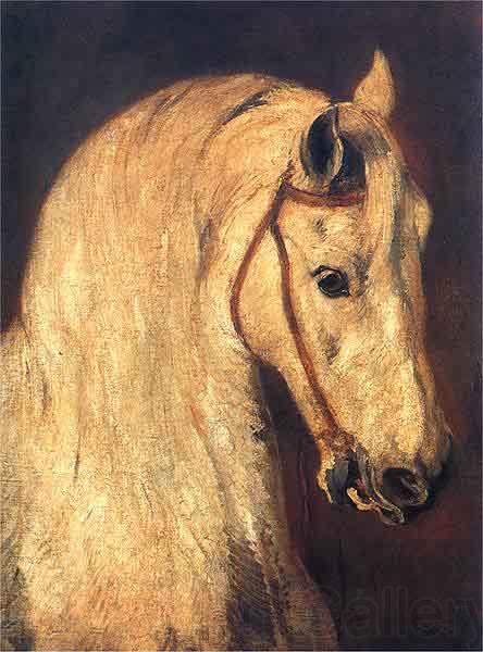 Piotr Michalowski Studium of Horse Head Spain oil painting art